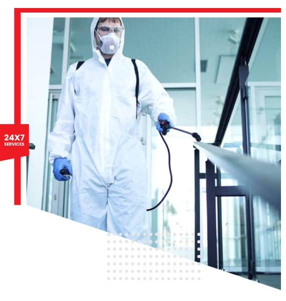 Local Pest Control Company For People In Saint Lucia